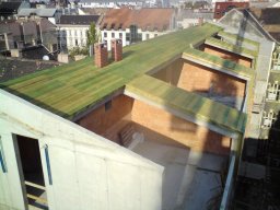 458535411_8703800272974760_3424405799817822666_n